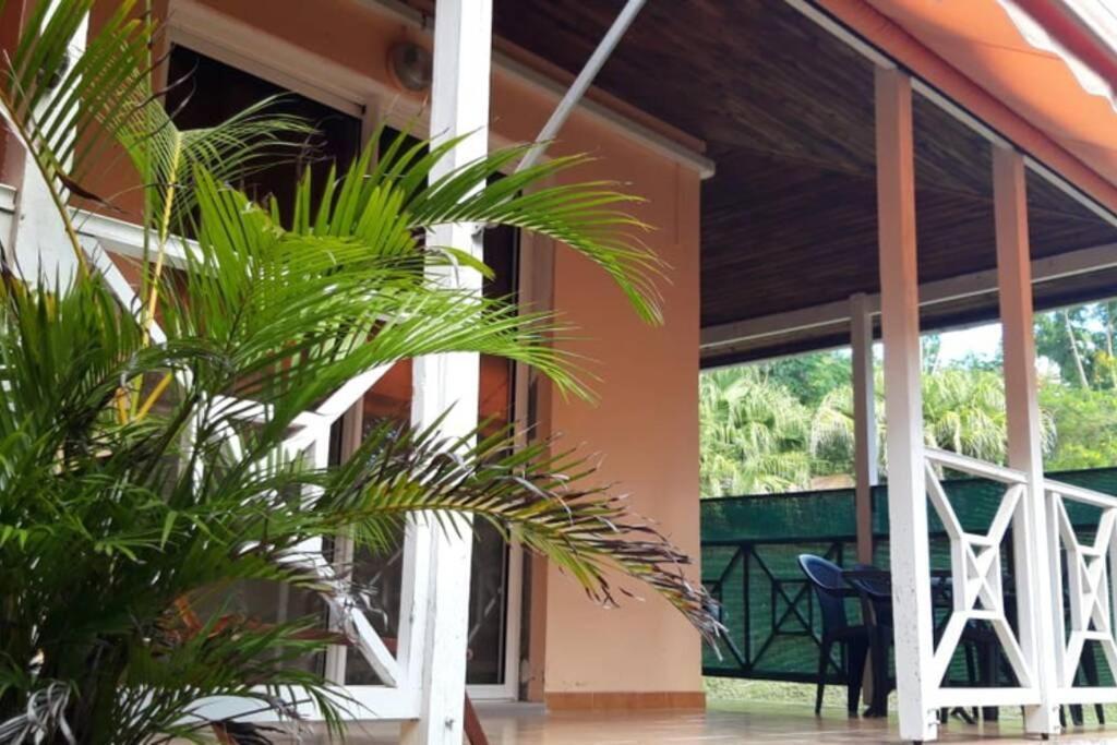 Residence Ti'Keol - Appartements Avec Terrasse 2 A 4 Personnes, Piscine 圣安娜 外观 照片